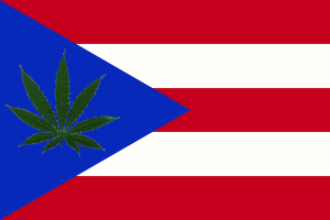 Cannabis_Puerto_Rico