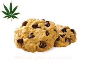 marijuana-recipes-chocolate-chip-cookies-1