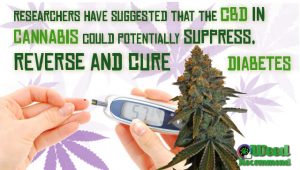 cbd oil for diabetes